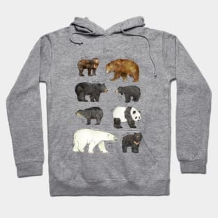 Bears Hoodie